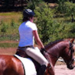 Meet your Posher, Shannon